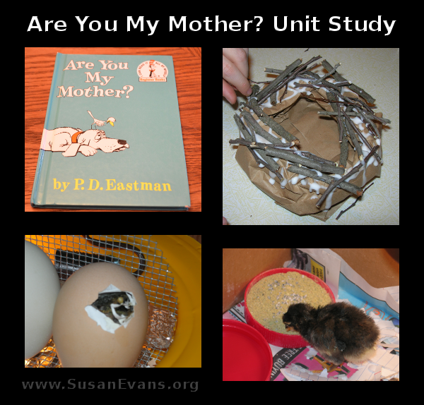are-you-my-mother-unit-study