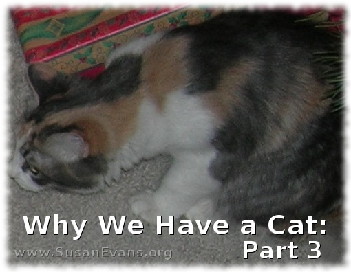 why-we-have-cats-3