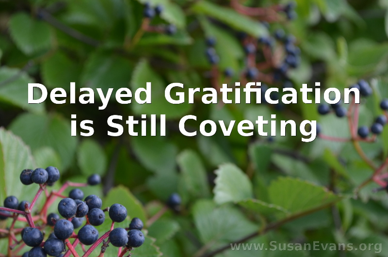 delayed-gratification-is-still-coveting