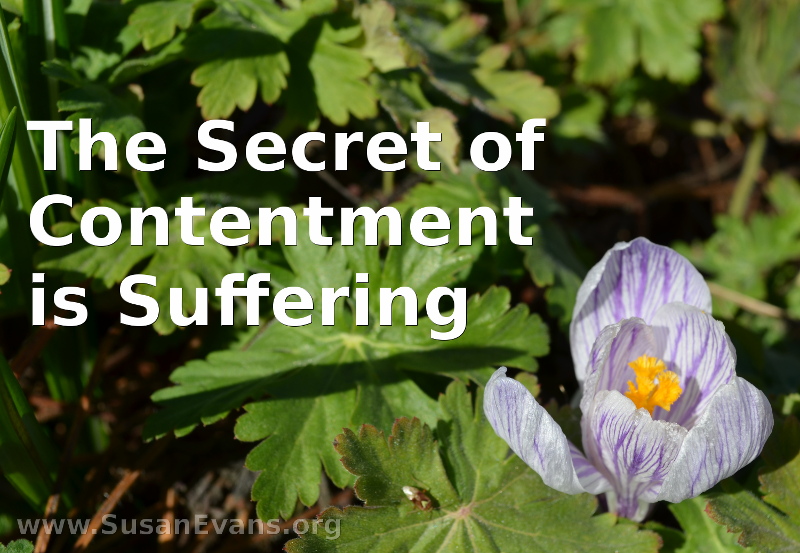 secret-of-contentment-is-suffering
