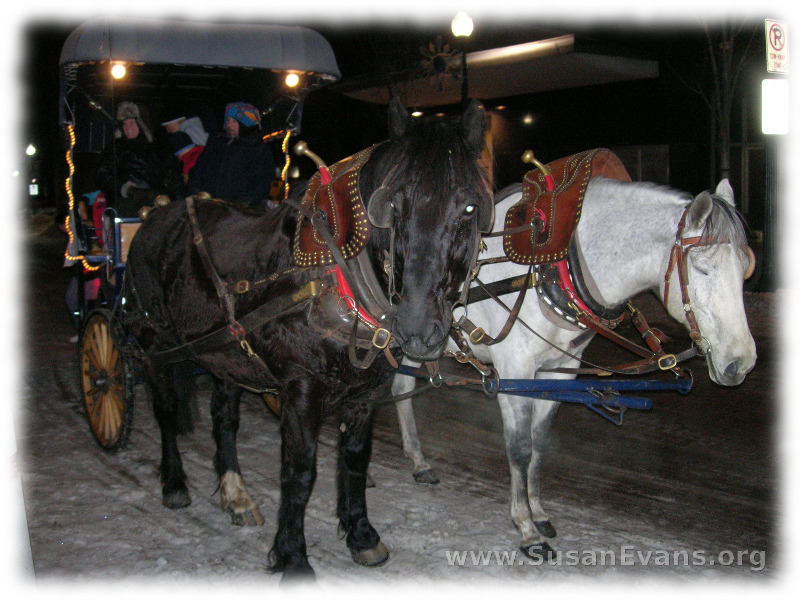 horse-and-carriage-ride