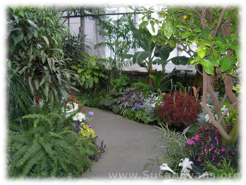 botanical-gardens-3