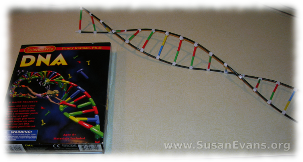 extracting-dna-6