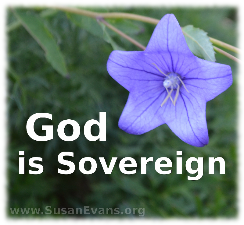 God-is-sovereign