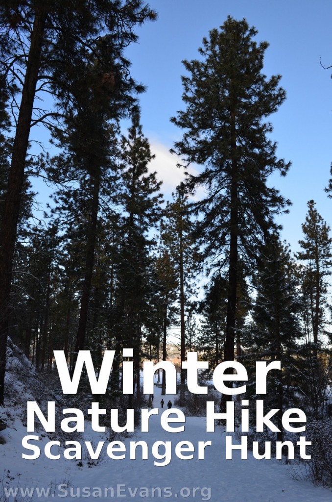 winter-nature-hike