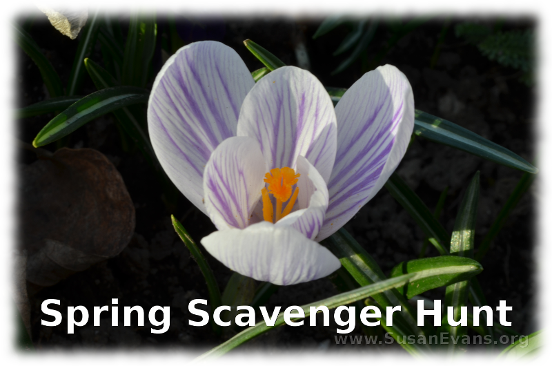 spring-scavenger-hunt