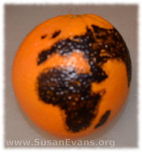 orange-globe-2