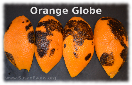 orange-globe
