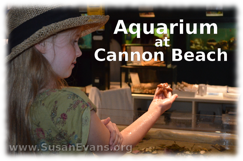 aquarium-at-cannon-beach