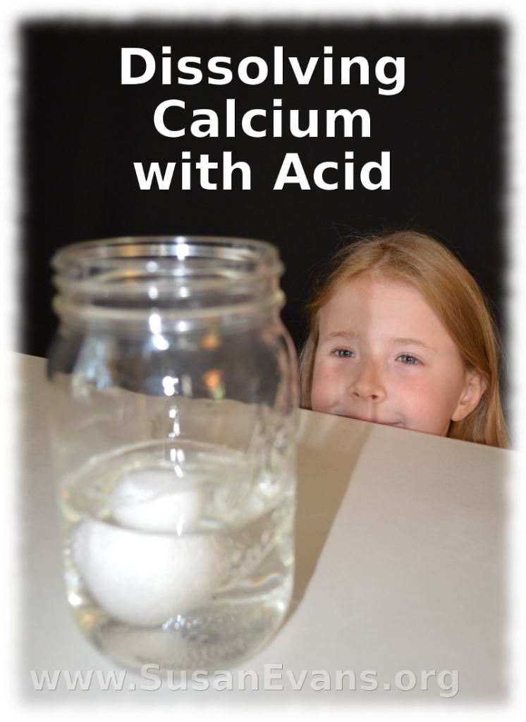 dissolving-calcium-with-acid
