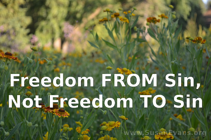 freedom-from-sin