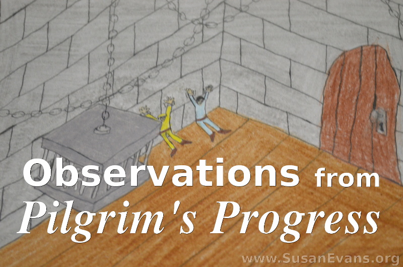 observations-from-pilgrims-progress