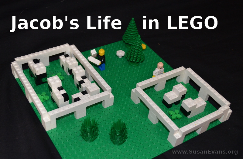 jacob's-life-in-lego