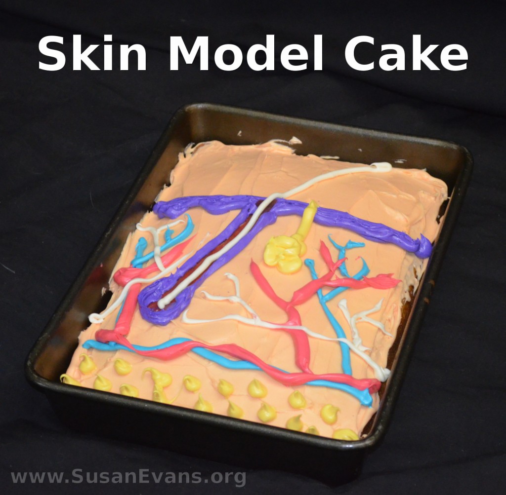 skin-model-cake