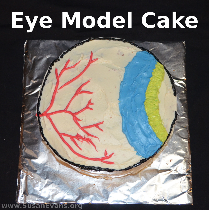 eye-model-cake