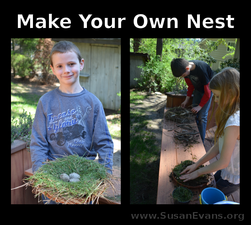 make-your-own-nest