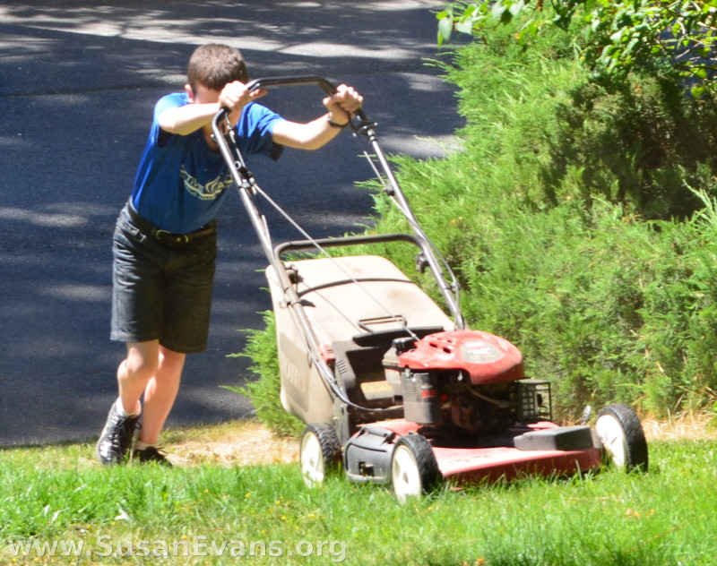 mowing-the-grass