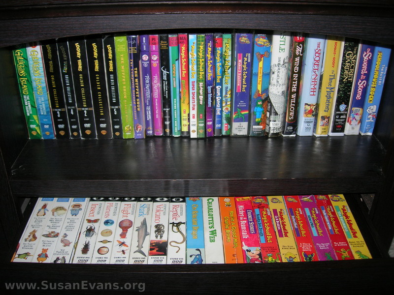 organize-DVDs