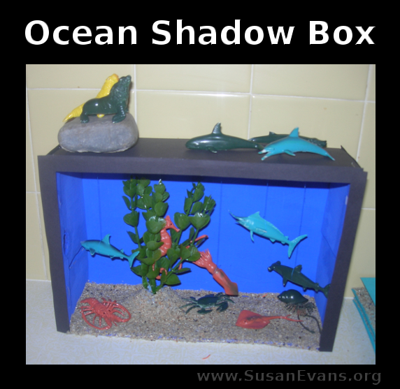 ocean-shadow-box