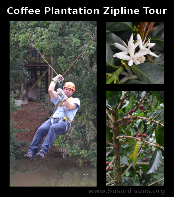 coffee-plantation-zipline-tour