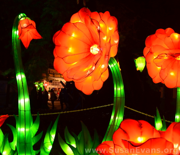 flower-lanterns