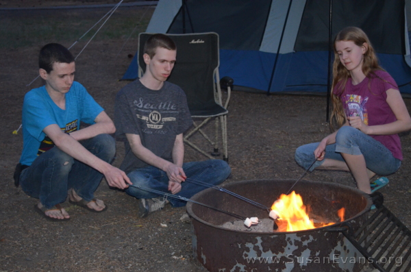 roasting-marshmallows-campfire