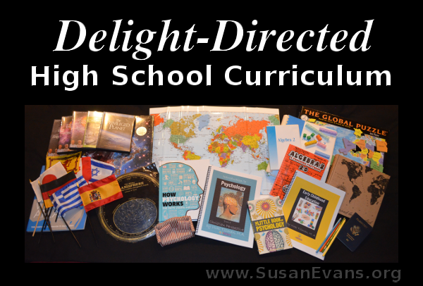 delight-directed-high-school-curriculum