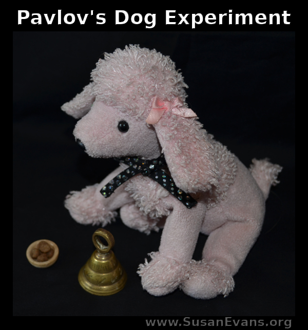 pavlovs-dog-experiment