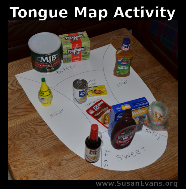 tongue-map-activity